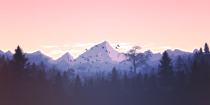 Montain - coach